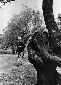 Robert Graves in olive grove Photo by Lloyd Borguss