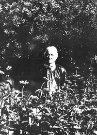 Robert Graves in the zinnia patch Deya 1973